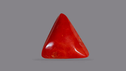 Italian Red Coral 16.79 Carats / 18.45 Ratti