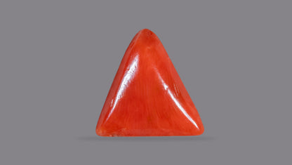 Italian Red Coral 6.29 Carats / 6.91 Ratti