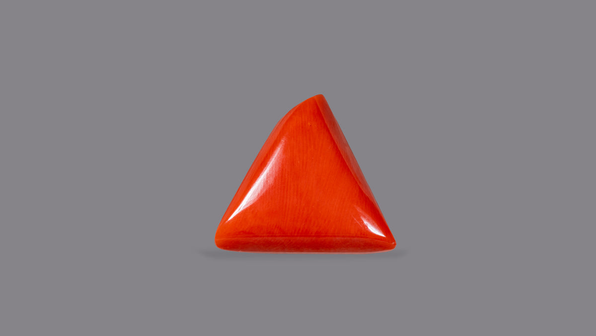 Natural Red Coral 29.38 Carats / 32.29 Ratti