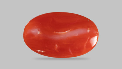 Japanese Red Coral 16.28 Carats / 17.89 Ratti