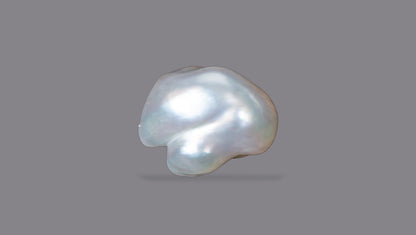 Venezuela Pearl7.96 Carats / 8.75 Ratti