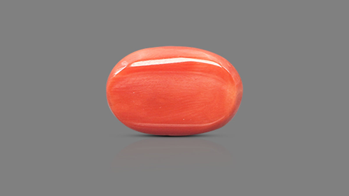 Italian Red Coral 11.64 Carats / 12.79 Ratti
