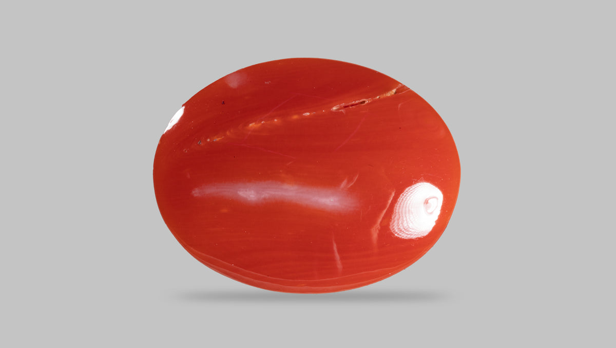 Japanese Red Coral 16.24 Carats / 17.85 Ratti