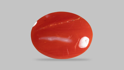 Japanese Red Coral 16.24 Carats / 17.85 Ratti