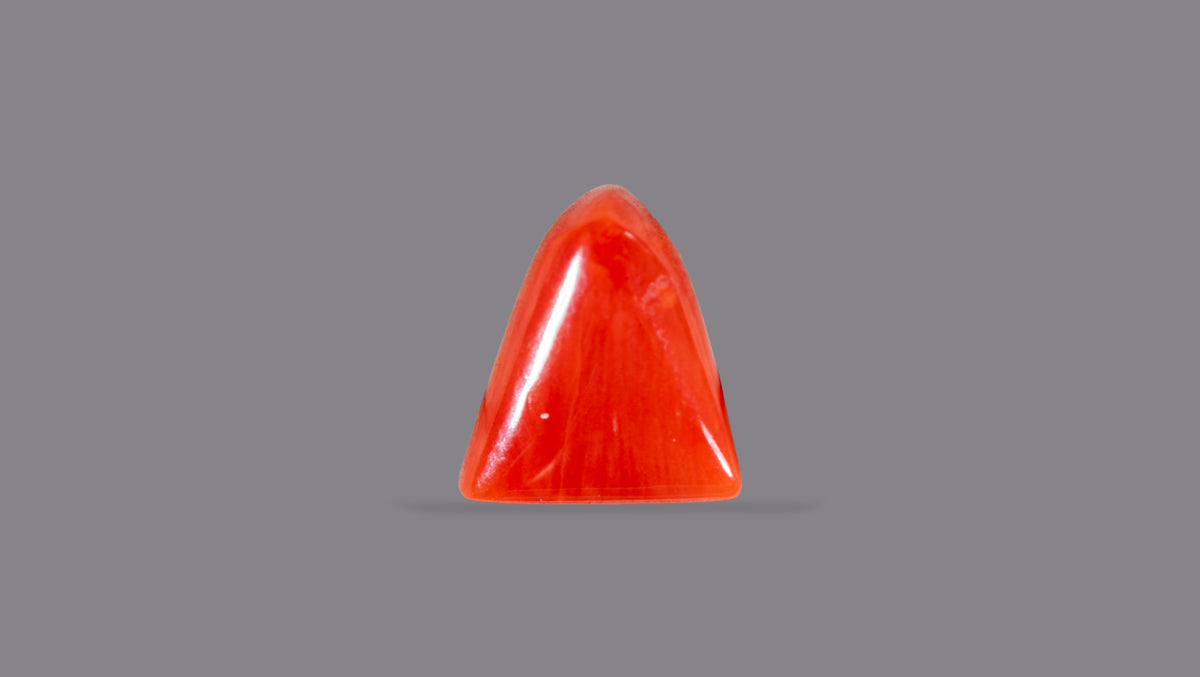 Italian Red Coral 6.05 Carats / 6.65 Ratti