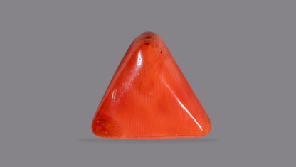 Italian Red Coral 9.67 Carats / 10.63 Ratti