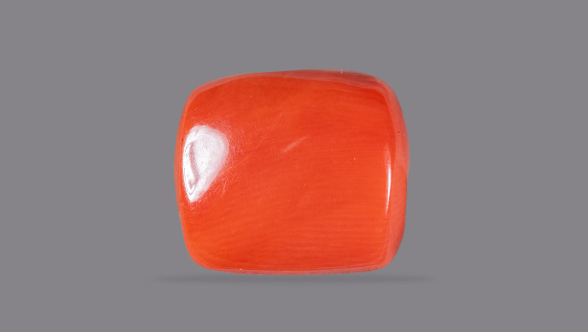 Italian Red Coral 13.52 Carats / 14.86 Ratti