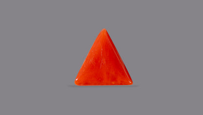 Italian Red Coral 6.16 Carats / 6.77 Ratti