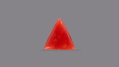 Italian Red Coral 5.26 Carats / 5.78 Ratti