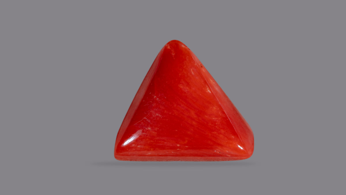 Italian Red Coral 6.16 Carats / 6.77 Ratti