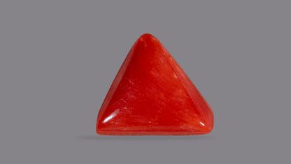 Italian Red Coral 6.16 Carats / 6.77 Ratti