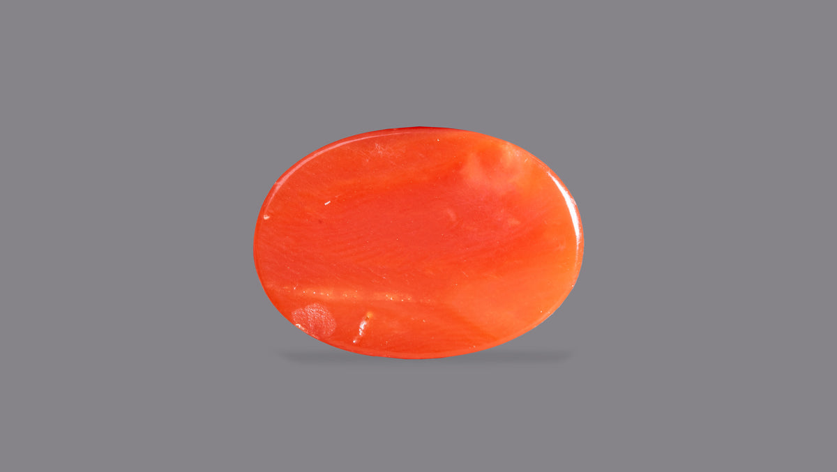 Japanese Red Coral 5.67 Carats / 6.23 Ratti