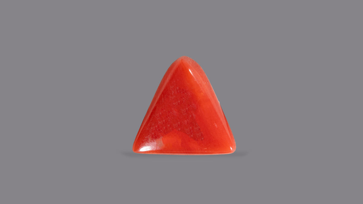 Italian Red Coral 5.04 Carats / 5.54 Ratti