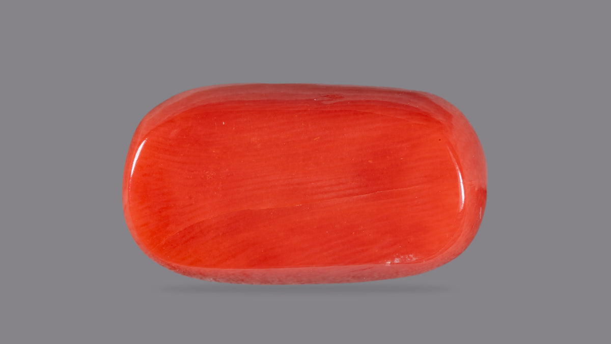Italian Red Coral 14.25 Carats / 15.66 Ratti