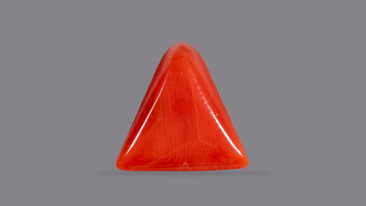 Italian Red Coral 6.95 Carats / 7.64 Ratti