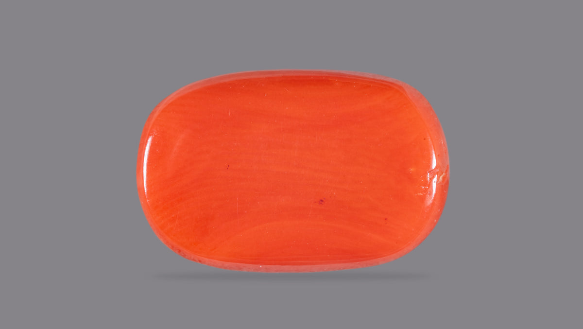 Italian Red Coral 10.68 Carats / 11.74 Ratti