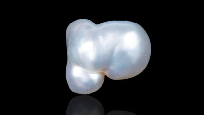 Venezuela Pearl 11.38 Carats / 12.51 Ratti