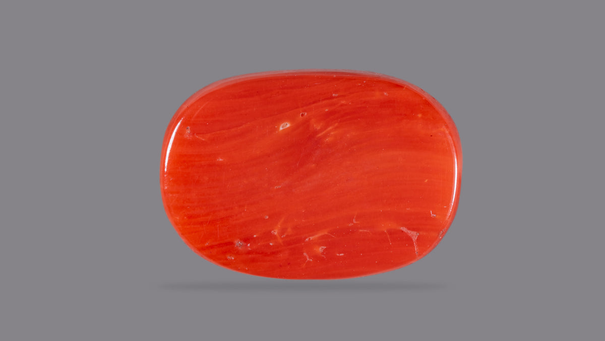 Italian Red Coral 12.43 Carats / 13.66 Ratti