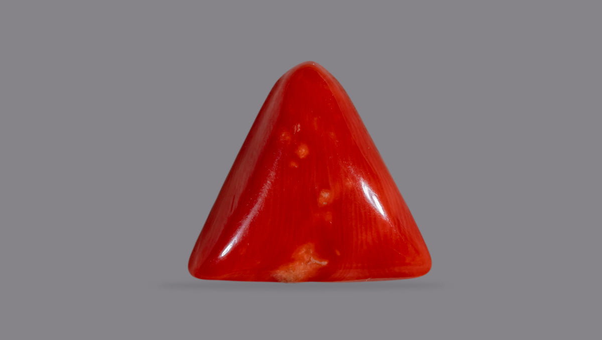 Italian Red Coral 11.81 Carats / 12.98 Ratti