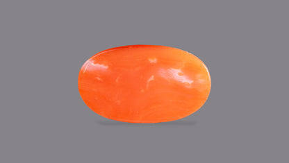 Japanese Red Coral 5.79 Carats / 6.36 Ratti