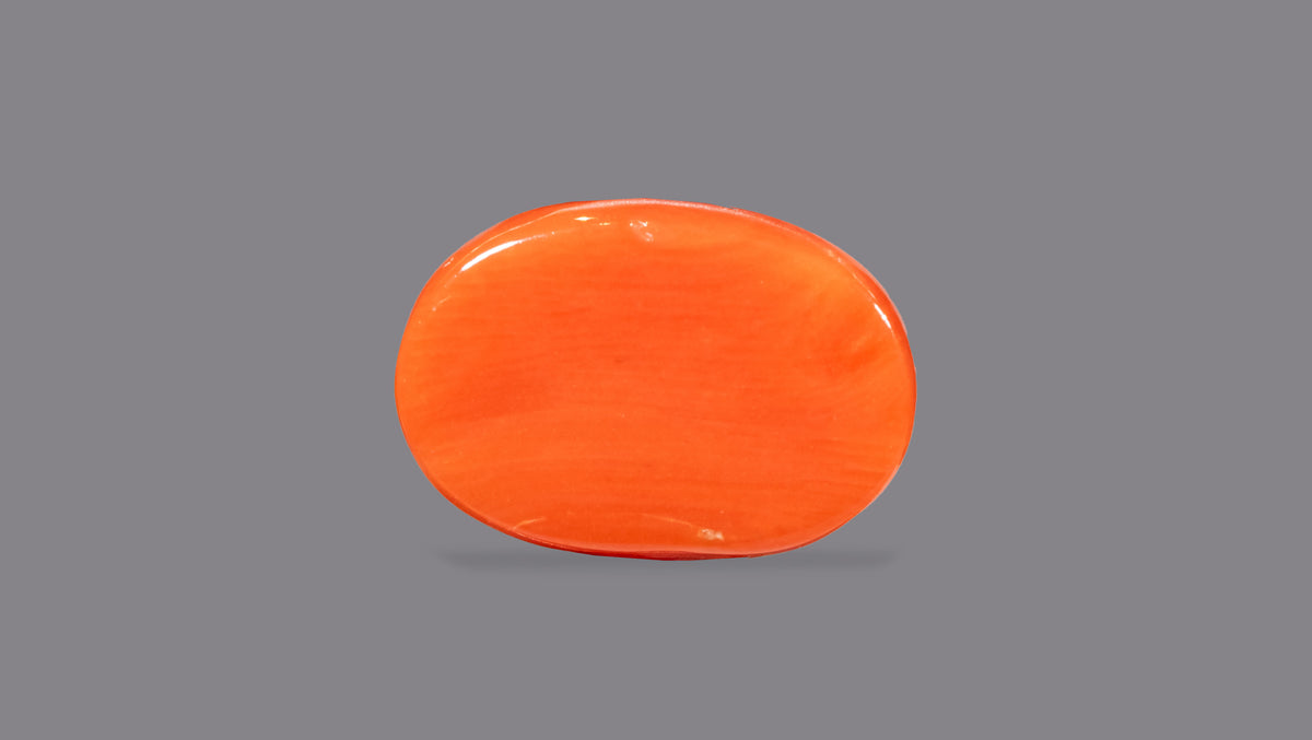 Italian Red Coral 7.88 Carats / 8.66 Ratti