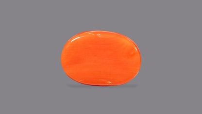Italian Red Coral 7.88 Carats / 8.66 Ratti