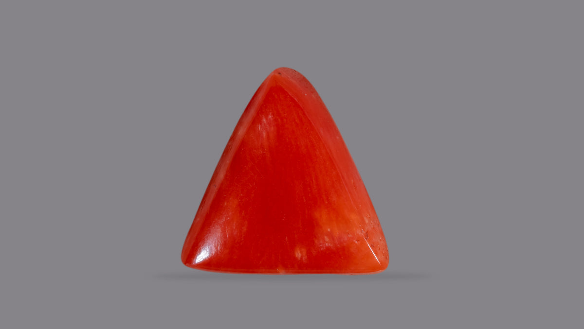 Italian Red Coral 6.26 Carats / 6.88 Ratti