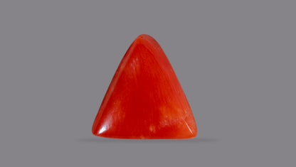 Italian Red Coral 6.26 Carats / 6.88 Ratti