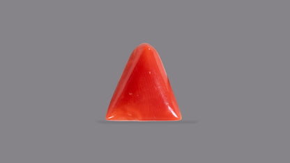 Italian Red Coral 5.70 Carats / 6.26 Ratti