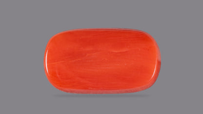 Italian Red Coral 9.98 Carats / 10.97 Ratti