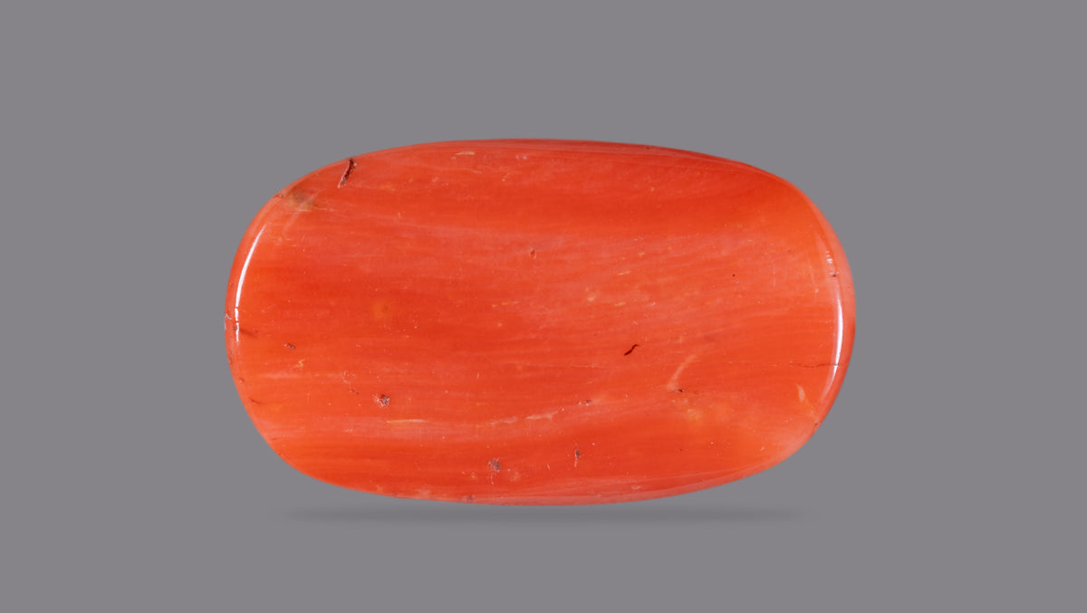 Italian Red Coral 12.60 Carats / 13.85 Ratti