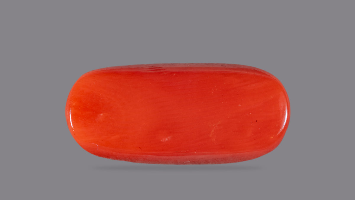 Italian Red Coral 7.44 Carats / 8.18 Ratti