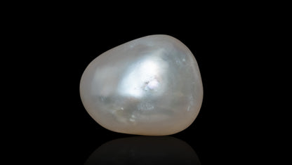Venezuela Pearl6.69 Carats / 7.35 Ratti