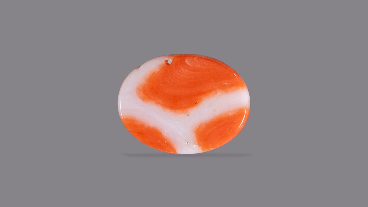 Japanese Red Coral 8.40 Carats / 9.23 Ratti