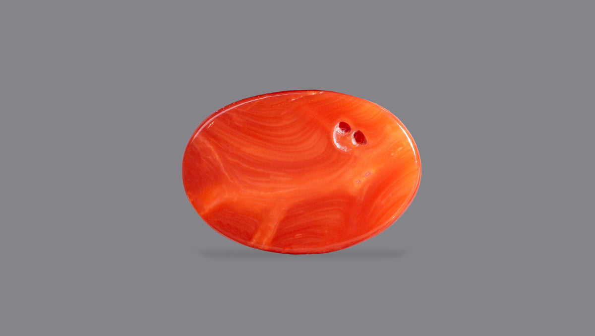 Japanese Red Coral 6.75 Carats / 7.42 Ratti