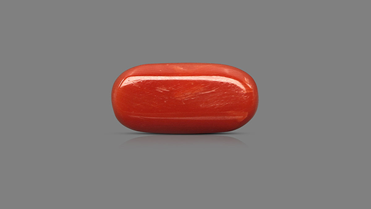 Italian Red Coral 14.19 Carats / 15.59 Ratti