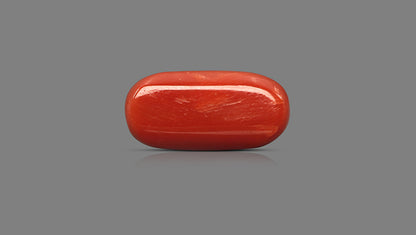 Italian Red Coral 14.19 Carats / 15.59 Ratti