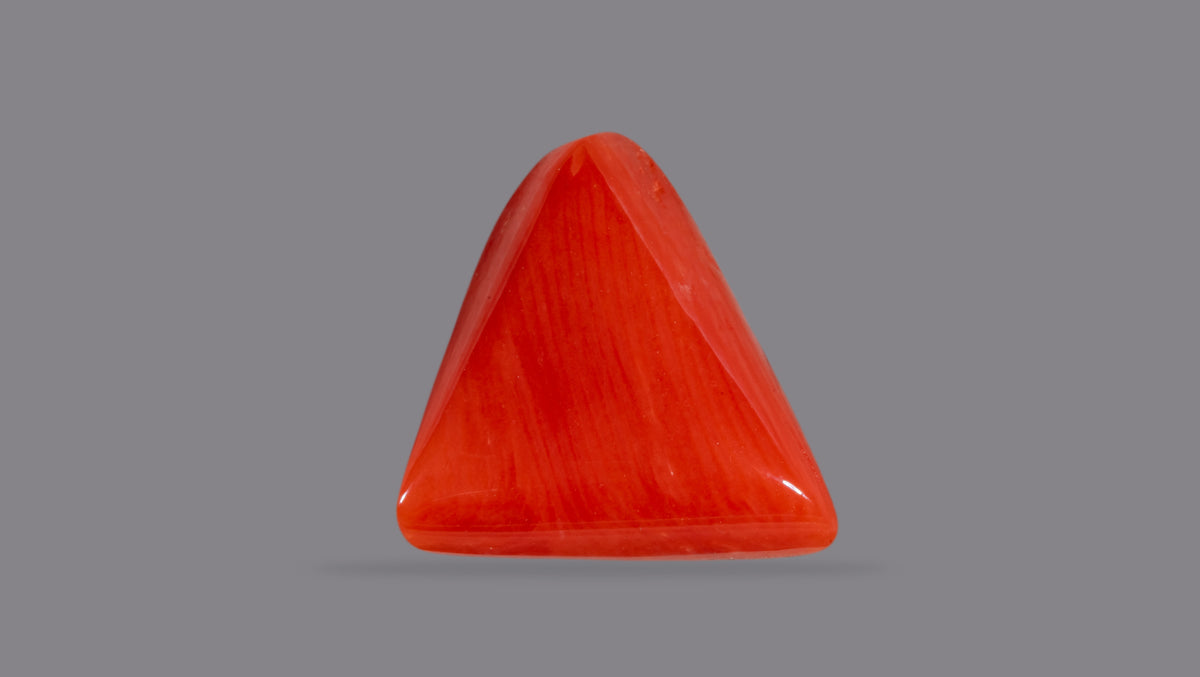 Italian Red Coral 6.54 Carats / 7.19 Ratti