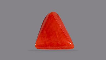 Italian Red Coral 6.54 Carats / 7.19 Ratti