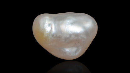 Venezuela Pearl11.19 Carats / 12.3 Ratti