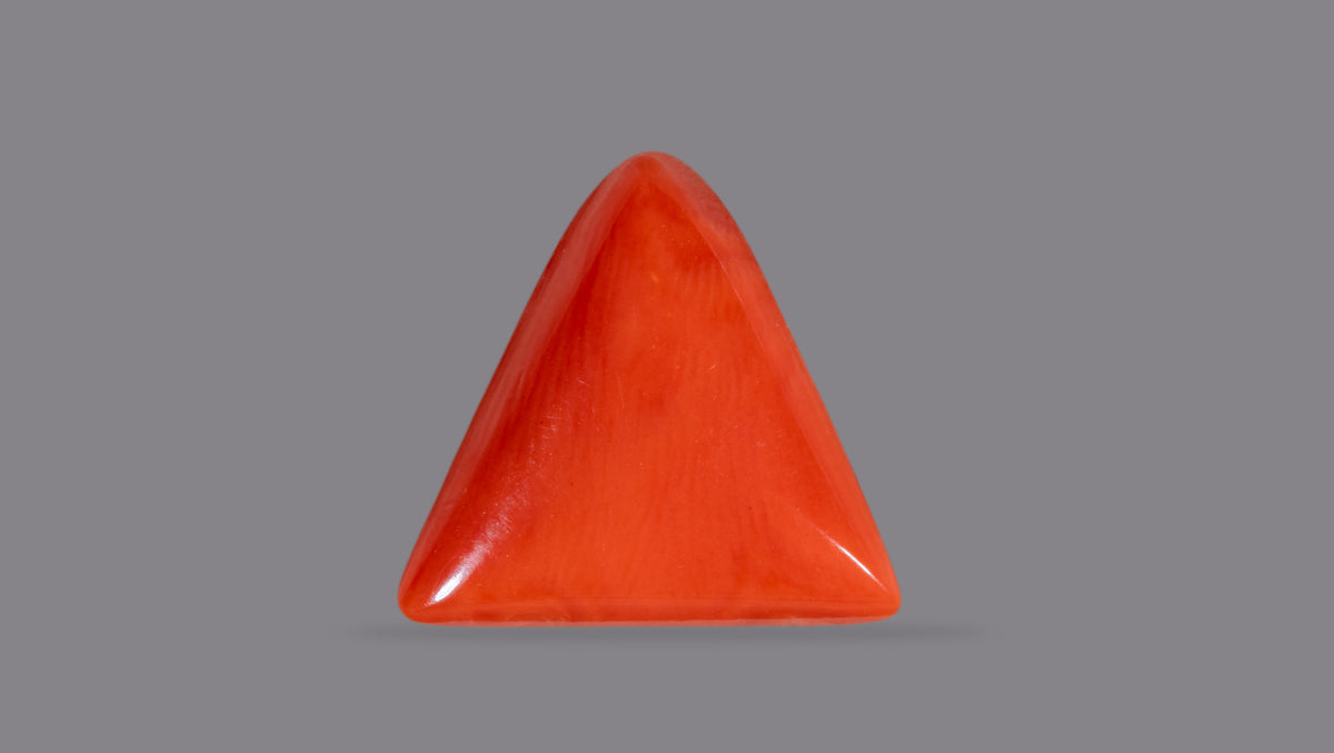 Italian Red Coral 6.23 Carats / 6.85 Ratti