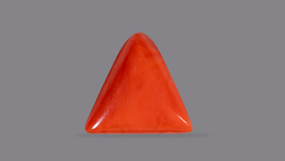 Italian Red Coral 6.23 Carats / 6.85 Ratti
