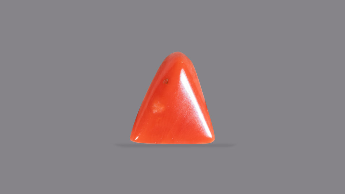 Italian Red Coral 5.06 Carats / 5.56 Ratti