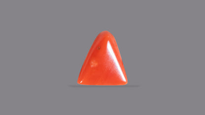 Italian Red Coral 5.06 Carats / 5.56 Ratti