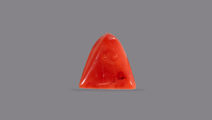 Italian Red Coral 5.19 Carats / 5.7 Ratti