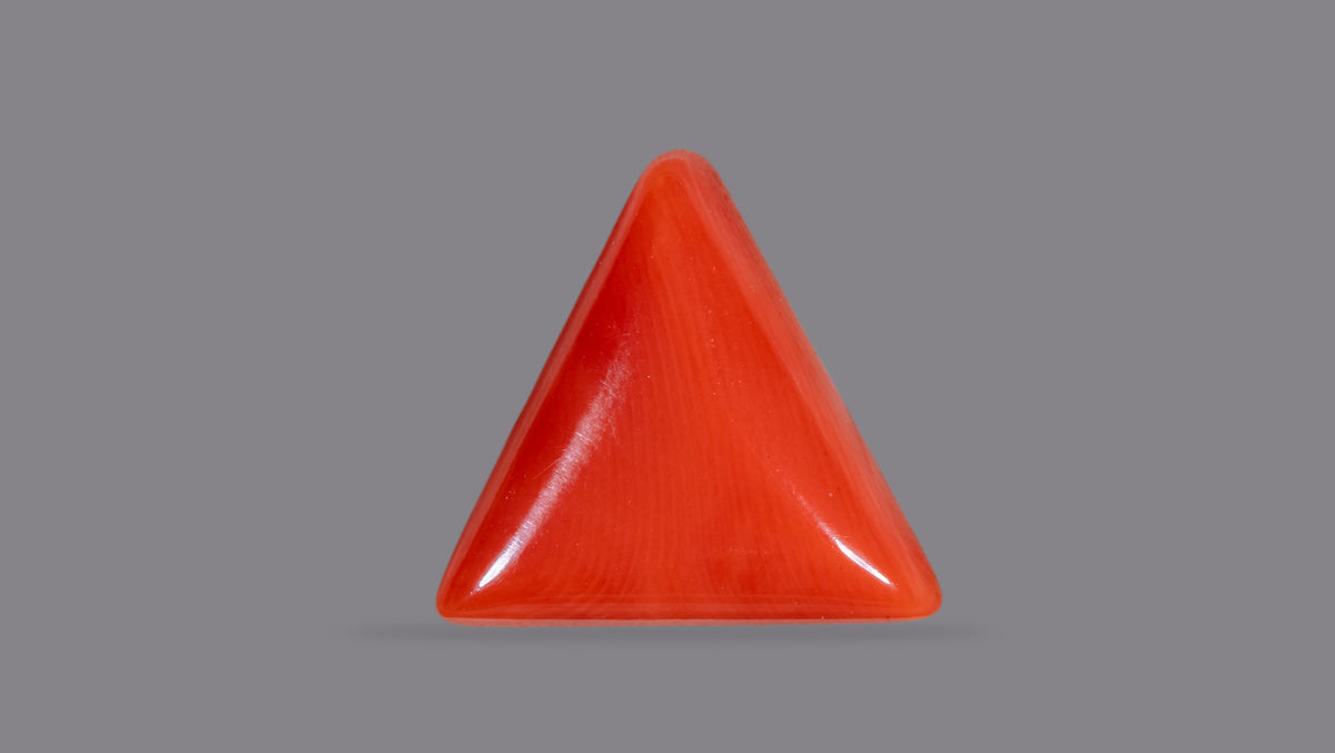 Italian Red Coral 6.48 Carats / 7.12 Ratti