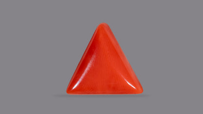 Italian Red Coral 6.48 Carats / 7.12 Ratti