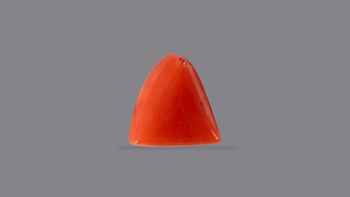 Italian Red Coral 6.13 Carats / 6.74 Ratti