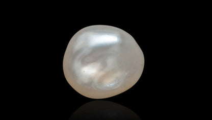 Venezuela Pearl7.84 Carats / 8.62 Ratti