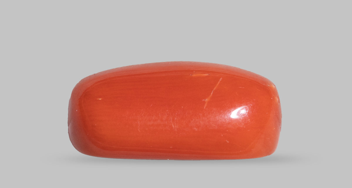 Italian Red Coral 7.58 Carats / 8.33 Ratti